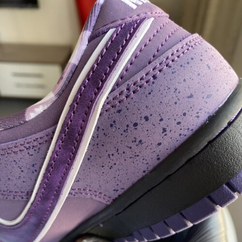 Concepts x Dunk Low SB 'Purple Lobster' - Image 6